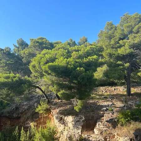 Rana Hedhun Апартаменты 3*