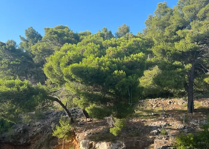 Rana Hedhun Апартаменты 3*